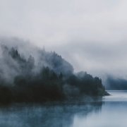 SVLBRD - Perception (2025)