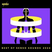 VA - Best Of Senso Sounds 2024 (2024)