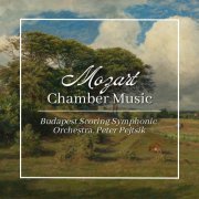 Peter Pejtsik - Mozart: Chamber Music (2023)