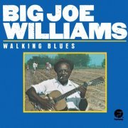 Big Joe Williams - Walking Blues (1961)