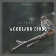 Spirit 5 - Woodland Birds (2022)