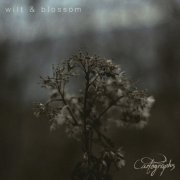 Cartographs - Wilt & Blossom (2019) FLAC