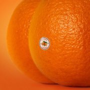 Emotional Oranges - The Juice: Vol. II (2019) [Hi-Res]