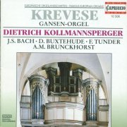 Dietrich Kollmannsperger - Europaische Orgellandschaften Krevese Gansen-Orgel (1994)