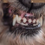 Blanck Mass - World Eater (2017) [Hi-Res]