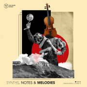 VA - Synths, Notes & Melodies, Vol. 16 (2025)