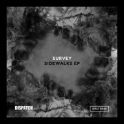 Survey - Sidewalks EP (2017) FLAC