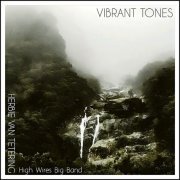 Herbie van Tetering - Vibrant Tones (2024)