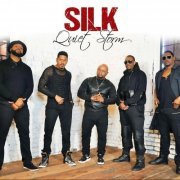 Silk - Quiet Storm (2016) [Hi-Res]