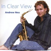 Andrew Neu - In Clear View (2007) FLAC