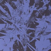 Plants Heal - Forest Dwellers (2025)