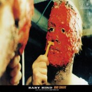 Babybird – Bad Shave (1995)