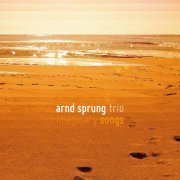 Arnd Sprung Trio - Imaginary Songs (2017)