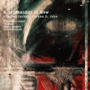 Alexander Chance, Tim Mead, Daniel Norman, Giacomo Susani, Chinwe D. John - A Screenshot of Now (2026) [Hi-Res]