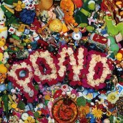 Pond - Pond (1993)