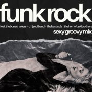 VA - Funk Rock:Sexy Groovy Mix (2024)