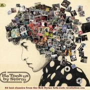 Various Artists - He Took Us By Storm - 25 Lost Classics from the Bob Dylan Folk Rock Revolution Era (2024)