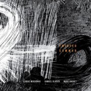 Liudas Mockūnas, Samuel Blaser, Marc Ducret - TWISTED SUMMER (2026)