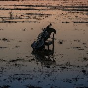Yuki Nakagawa - Stills and Remains (2026)