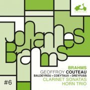 Geoffroy Couteau, Nicolas Baldeyrou, Amaury Coeytaux, Antoine Dreyfuss - Brahms: Clarinet Sonatas, Horn Trio (2024) [Hi-Res]