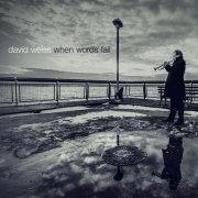 David Weiss - When Words Fail (2014) [Hi-Res]