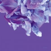 VA - Pop Ambient 2025 (2024)