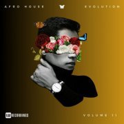 VA - Afro House Evolution, Vol. 11 (2024) FLAC