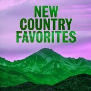 VA - New Country Favorites (2024)