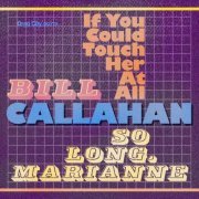 Bill Callahan - If You Could Touch Her at All (2019) [Hi-Res]