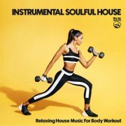 VA - Instrumental Soulful House (2023)