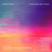 Various Artists - David Fulmer: immaculate sigh of stars (2024)