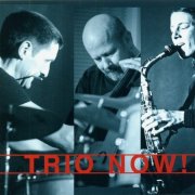 Tanja Feichtmair, Uli Winter, Fredi Proll - Trio Now! (2013)