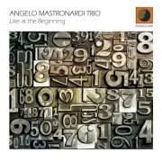 Angelo Mastronardi Trio - Like at the Beginning (2014)