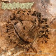 Pharmacist - Vertebrae After Vertebrae (2026)