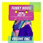 VA - Best of Funky House - Volume One (2023)