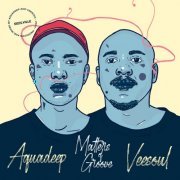 Aquadeep & Veesoul - Matters Of Groove (2023)