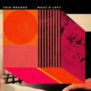 Will Vinson, Gilad Hekselman & Nate Wood - Trio Grande: What's Left (2026) [Hi-Res]