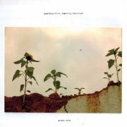 Morgan Noise - Something built, Something remembered (2026) [Hi-Res]