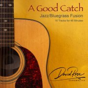 David Rose - A Good Catch (2025) Hi-Res