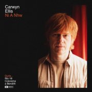 Carwyn Ellis - Ni A Nhw (2023) [Hi-Res]