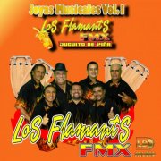 Los Flamants FMX - Los Flamants FMX Juguito de Piña: Joyas Musicales, Vol. 1 (2023/2026)