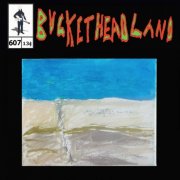Buckethead - Shores of the Subconcious (Pike 607) (2023)