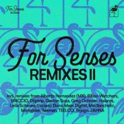 VA - For Senses Remixes II (2026)