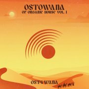 VA - Ostowana Of Organic House Vol 1 (Best Of 2024) (2025)