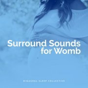 Binaural Sleep Collective - Surround Sounds for Womb (2019) [Hi-Res]