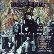 Various Artists - What A Way To Come Down (1997)