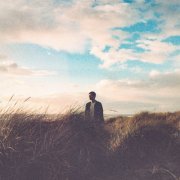 The Gray Havens - This Is Not The End (2025)