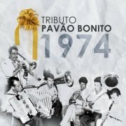 Pavão Bonito - Tocata Pavão Bonito Tributo 1974 (2023)