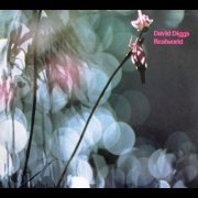 David Diggs - Realworld (1983)