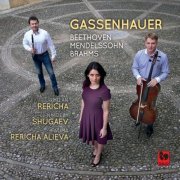 Milan Rericha - Gassenhauer: Brahms - Beethoven - Mendelssohn (2019)